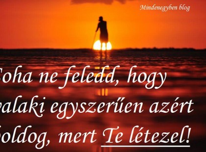 Soha ne feledd, hogy valaki egyszerűen azért boldog, mert Te létezel.