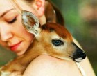 kicsi bambi