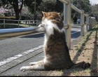 relax-relax