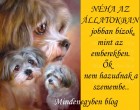 NÉHA AZ ÁLLATOKBAN jobban bízok, mint az emberekben. Ők nem hazudnak a szemembe..