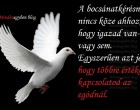 A bocsánatkérésnek nincs köze ahhoz, hogy igazad van-e, vagy sem. Egyszerűen azt jelenti, hogy többre értékeled a kapcsolatod az egódnál.