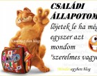 családi állapotom: lőjetek le ha még egyszer azt mondom szerelmes vagyok