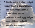 A fecske nem ember, mégis visszavágyik a szülőföldére. Ha nem vágyakozna, nem térne vissza. Az ember is csak egy helyen van otthon, másutt mindenütt idegen