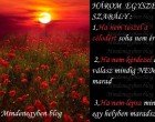 HÁROM EGYSZERŰ SZABÁLY -Ha nem teszel a célodért soha nem éred el -Ha nem kérdezel a válasz mindig NEM marad -Ha nem lépsz mindig egy helyben maradsz