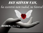 . Egy szívem van, ha szeretni nem tudod, ne bántsd!