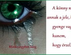 A könny nem annak a jele, hogy gyenge vagy, hanem, hogy érzel.