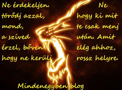 Ne érdekeljen. Ne törődj azzal, hogy ki mit mond, te csak menj a szíved után. Amit érzel, bőven elég ahhoz, hogy ne kerülj rossz helyre.