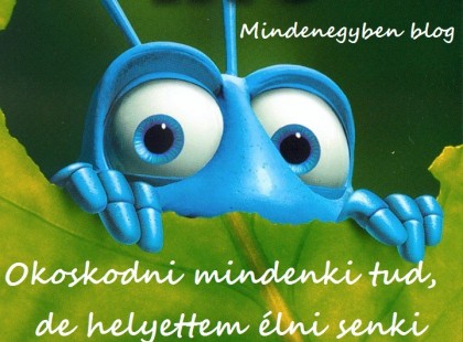 Okoskodni mindenki tud, de helyettem élni senki