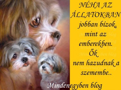 NÉHA AZ ÁLLATOKBAN jobban bízok, mint az emberekben. Ők nem hazudnak a szemembe..