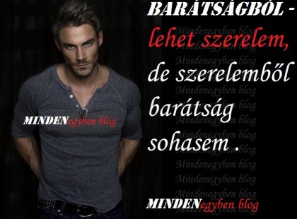 BARÁTSÁGBÓL lehet szerelem, de szerelemből barátság sohasem