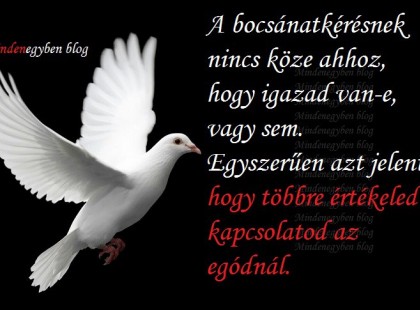 A bocsánatkérésnek nincs köze ahhoz, hogy igazad van-e, vagy sem. Egyszerűen azt jelenti, hogy többre értékeled a kapcsolatod az egódnál.