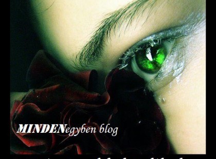 CSAK AZOK az emberek látják tisztán a dolgokat akiknek a szemét már tisztára mosták a könnyek..