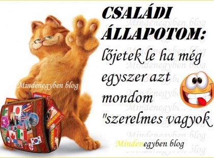 családi állapotom: lőjetek le ha még egyszer azt mondom szerelmes vagyok