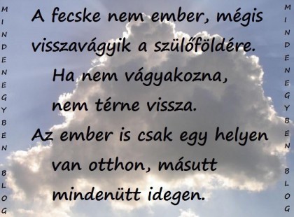 A fecske nem ember, mégis visszavágyik a szülőföldére. Ha nem vágyakozna, nem térne vissza. Az ember is csak egy helyen van otthon, másutt mindenütt idegen