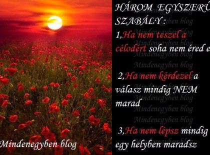 HÁROM EGYSZERŰ SZABÁLY -Ha nem teszel a célodért soha nem éred el -Ha nem kérdezel a válasz mindig NEM marad -Ha nem lépsz mindig egy helyben maradsz