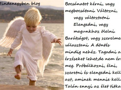 Próbálkozni, élni, szeretni és elengedni kell azt, aminek mennie kell.