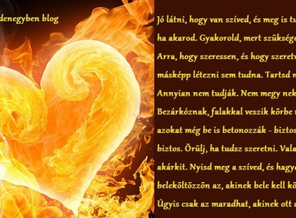 Nyisd meg a szíved, és hagyd, hogy beleköltözzön az, akinek bele kell költöznie.