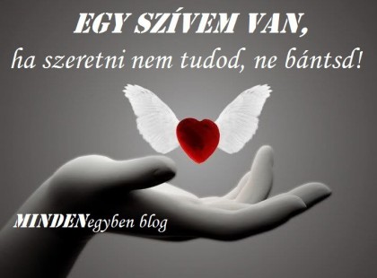 . Egy szívem van, ha szeretni nem tudod, ne bántsd!