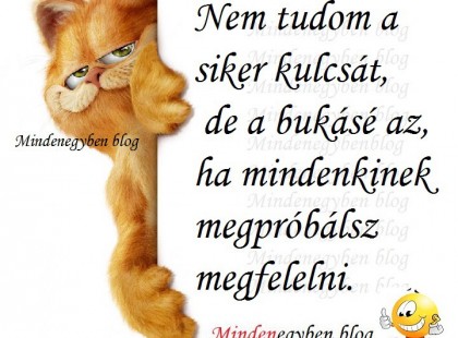 Nem tudom a siker kulcsát, de a bukásé az, ha mindenkinek megpróbálsz megfelelni.