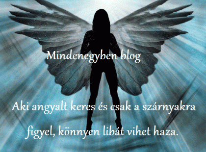 Aki angyalt keres és csak a szárnyakra figyel, könnyen libát vihet haza.