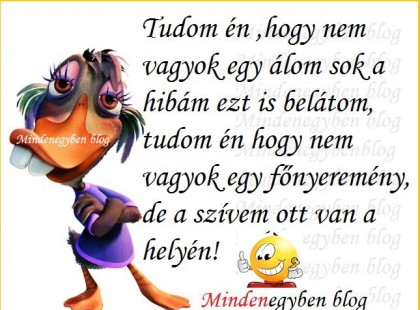 Igen tudom én ,hogy nem vagyok egy álom sok a hibám ezt is belátom, tudom én hogy nem vagyok egy főnyeremény