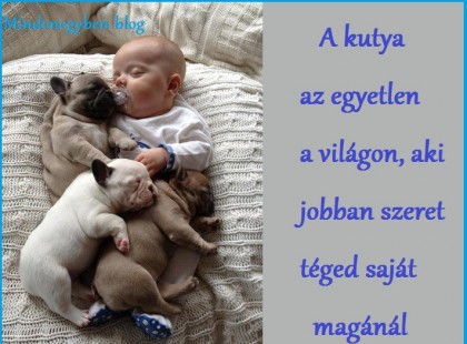 A kutya az egyetlen a világon, aki jobban szeret téged saját magánál
