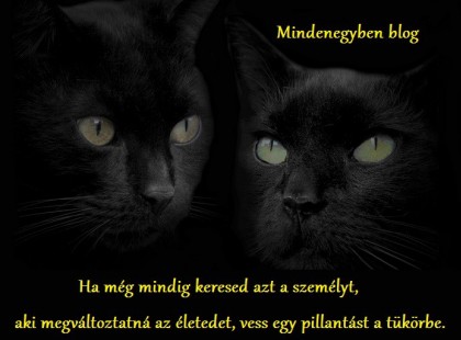 Ha még mindig keresed azt a személyt, aki megváltoztatná az életedet, vess egy pillantást a tükörbe.