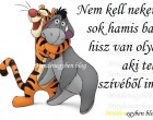 Nem kell nekem a sok hamis barát, hisz van olyan, aki teljes szívéből imád.