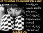 Ne csüggedj ha sokszor fáj a szív.....