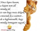 Nincs lapos hasam....
