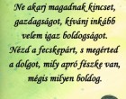 Ne akarj magadnak kincset, gazdagságot, kívánj inkább velem igaz boldogságot. Nézd a fecskepárt, s megérted a dolgot, mily apró fészke van, mégis milyen boldog.