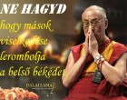 Ne hagyd hogy mások viselkedése lerombolja a belső békédet.