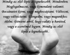 Mindig az első lépés a legnehezebb. Mindenben. Megfogalmazni....