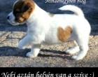 Neki aztán helyén van a szíve:)