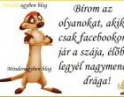 Bírom az olyanokat, akiknek csak facebookon jár a szája, élőben legyél nagymenő drága!