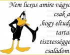 Nem luxus amire vágyom csak arra ,hogy eltudjam tartani tisztességgel a családom