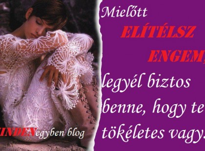 Mielőtt elítélsz engem, legyél biztos benne, hogy te tökéletes vagy.