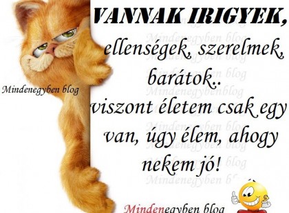 VANNAK irigyek, ellenségek, szerelmek, barátok.. viszont életem csak egy van, úgy élem, ahogy nekem jó