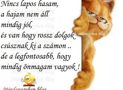 Nincs lapos hasam....