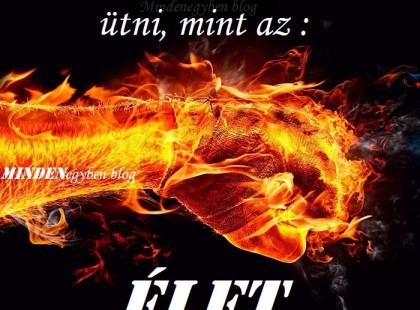 Senki sem tud olyan nagyot ütni, mint az élet.