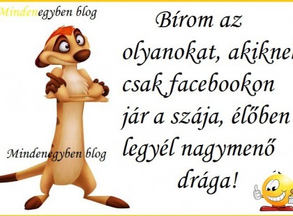 Bírom az olyanokat, akiknek csak facebookon jár a szája, élőben legyél nagymenő drága!