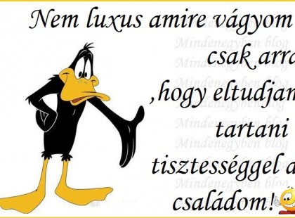 Nem luxus amire vágyom csak arra ,hogy eltudjam tartani tisztességgel a családom