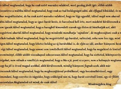 Idővel megtanulod...