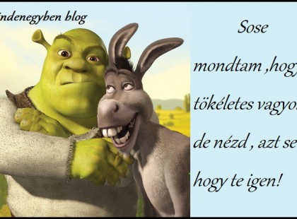 Sose mondtam ,hogy tökéletes vagyok ,de nézd ,azt se ,hogy te igen!