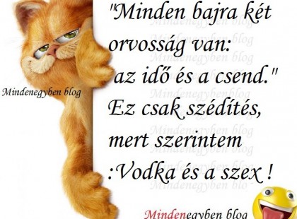 Minden bajra két orvosság van: az idő és a csend.Ez csak szédítés, mert szerintem ....