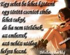 Egy sebet be lehet kötözni....