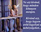 Ne azt kívánd, hogy minden könnyen menjen. Kívánd azt, hogy legyen erőd legyőzni a nehézségeket...