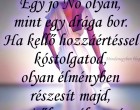 Egy jó Nő olyan, mint egy drága bor. Ha kellő hozzáértéssel kóstolgatod, olyan élményben részesít majd, amitől egy életen át emlékszel az évjáratára!