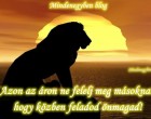 Azon az áron ne felelj meg másoknak, hogy közben feladod önmagad