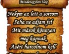 Nekem az lett a sorsom Soha ne adjam fel...
